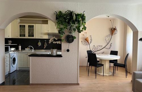 Nis Apartment | R&R apartment Medak 3