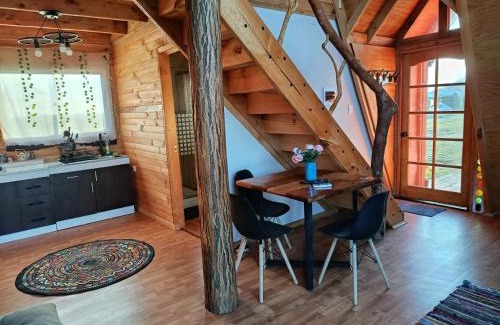 Pinto Ski Chalet | Raíz Indomita