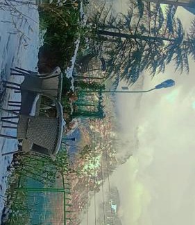 Bastar Hotel | Raarees Misty Resort