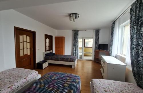 Radauti Apartment | Radauti Residence 1P