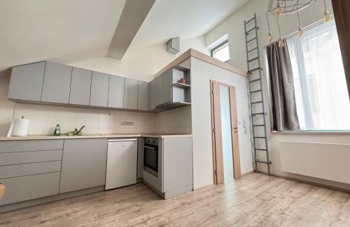 Pilsen Apartment | Radbuza Apartment