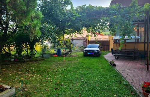 Sinca Veche House | RadHouse Villa Brasov - 50 minutes from Brasov