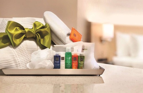 Charlotte Hotel | Radisson Hotel Charlotte Airport