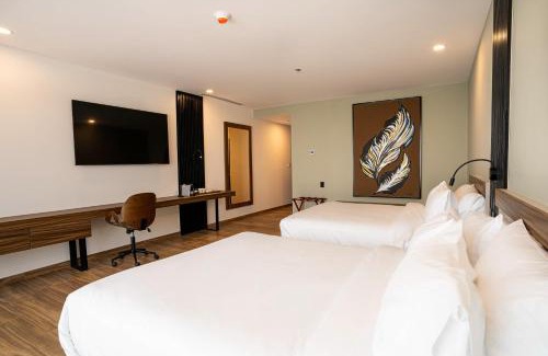San Luis Potosi Hotel | Radisson San Luis Potosi Aeropuerto