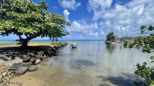 Uturoa House | RAIATEA - Orion Pool Bungalow