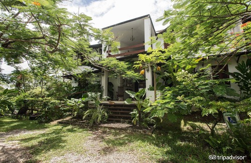 Naranjo House | Rainforest Eco Lodge 7 bd/Mountain Paradise Puerto Rico