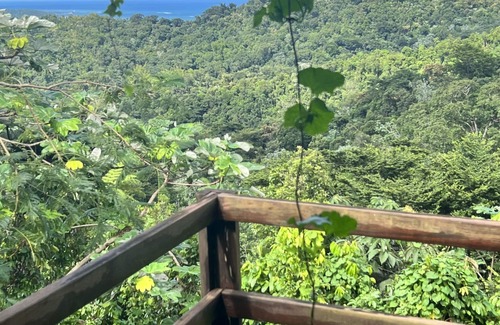 Naranjo House | Rainforest Eco Lodge 7 bd/Mountain Paradise Puerto Rico