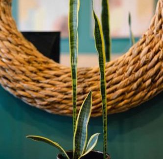 Bayonne House | Rainforest Retreat 20m to NYC FREE Parking - Sleeps 16