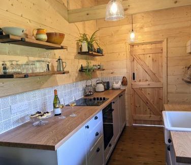 Holsworthy House | Raleigh Lodge - high quality lodge in secluded meadow