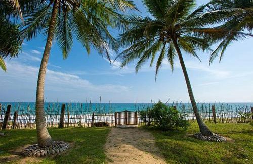 Ambalangoda Hotel | Ran Doni Beach Hotel