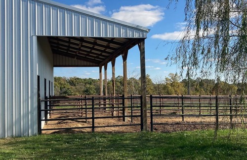 Siloam Springs House | Ranch time w Bronco & Betsey!