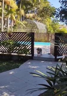 Santo Amaro da Imperatriz House | Rancho coletivo aconchegante