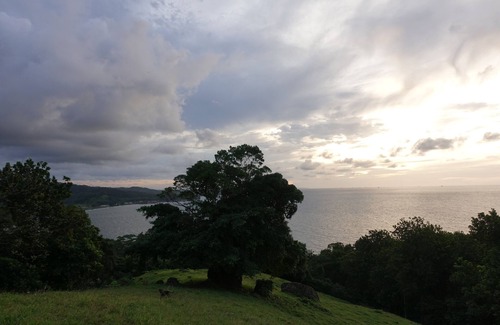 Mechi Hotel | Rancho Juancho