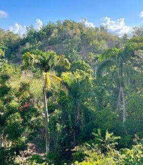 El Limon Other | Rancho Romana Treehouse F04