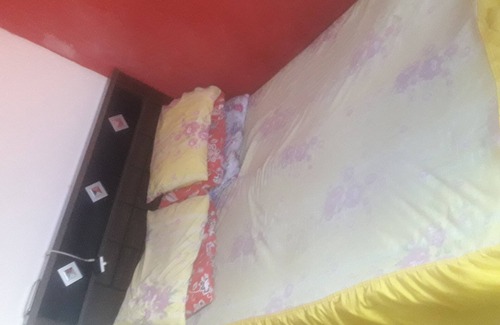 Parque Dez de Novembro House | Raquel's cozy house