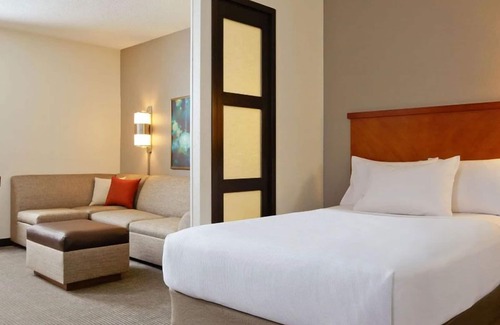Austin Hotel | Rare Find! THREE Contemporary Units, Swimming Pool, Pet-friendly, Free Parking!