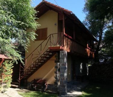 Praid House | Raza Soarelui Pension