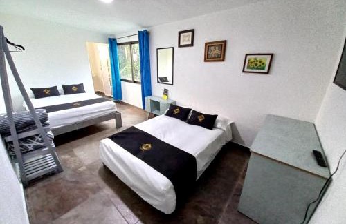 Popotla House | RCH Suite