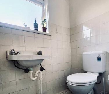 Surry Hills Apartment | Rear Garden Suite