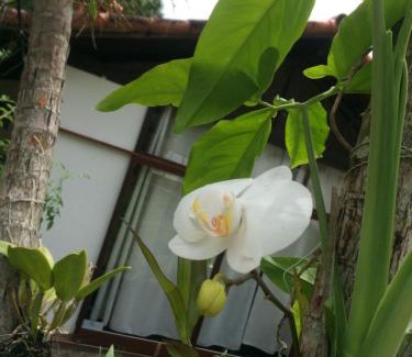 Sao Jose do Vale do Rio Preto House | Recanto das Águas Claras