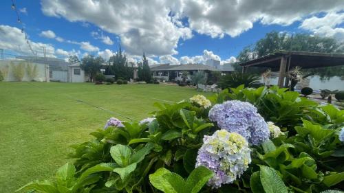 Gama House | Recanto das Eugenias