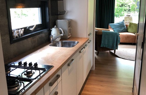 Hippolytushoef House | Recreatiepark Wiringherlant - Wiringher Chalet 12