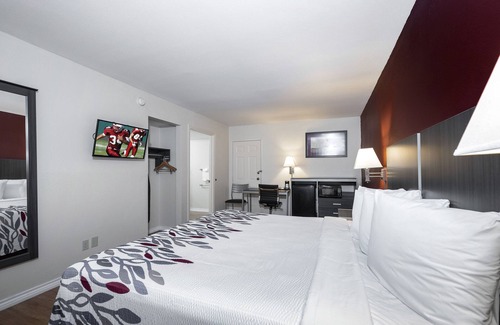Houston Hotel | Red Roof Inn Houston North - FM 1960 & I-45
