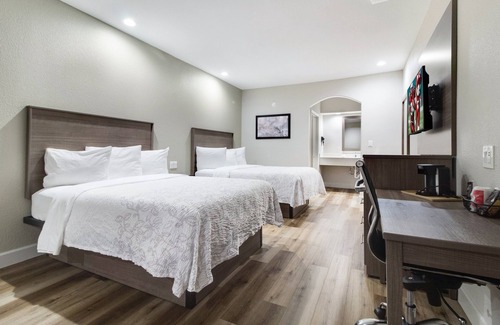 Galveston Hotel | Red Roof Inn Plus+ Galveston - Beachfront