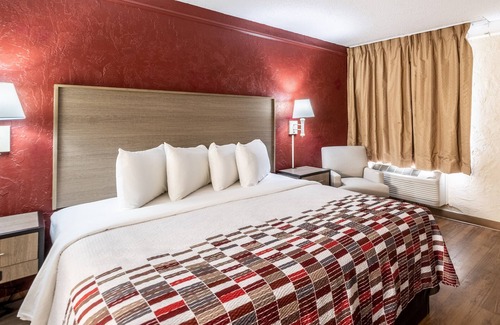 St. Petersburg - Clearwater Hotel | Red Roof Inn Tampa Bay - St Petersburg