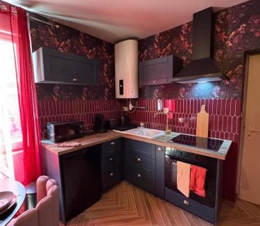 Chateauroux Apartment | RED SPARROW -T2 avec jacuzzi