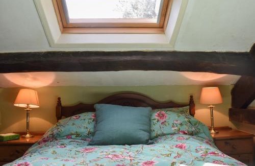 Hawes House | Red Squirrel Haven