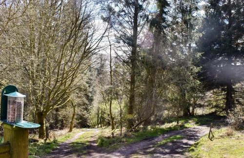 Hawes House | Red Squirrel Haven
