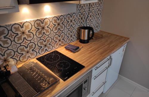 Zielona Gora Apartment | Redkot 40A
