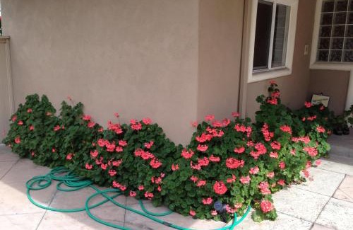 North Redondo House | Redondo Beach/Hermosa Beach