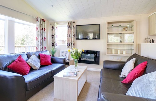 Wadebridge Cabin | Reduced rates for Aug @ Woodland Lodge St Minver, nr Rock, sleeps 6 dog friendly