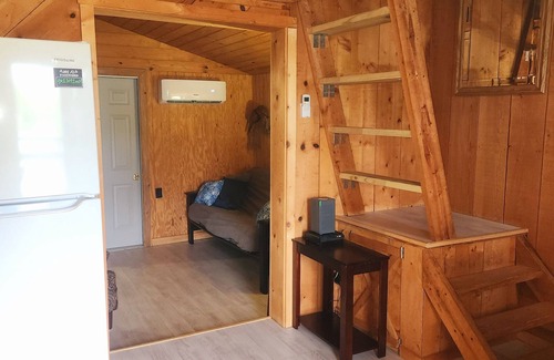 Coalmont Cabin | Reel Simple LAKEFRONT Cabin Close to Hiking Trails, The Caverns and OHV Park!