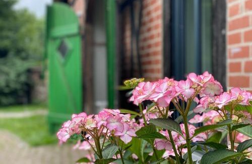 Suesel House | Reet-Cottage Nahe der Ostsee