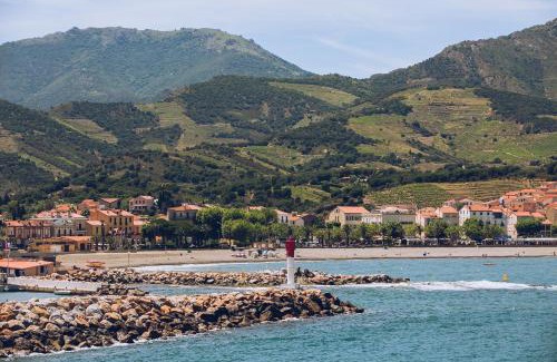 Banyuls-sur-Mer Apartment | Regina's Banyuls - Spatious apartment next to the beach
