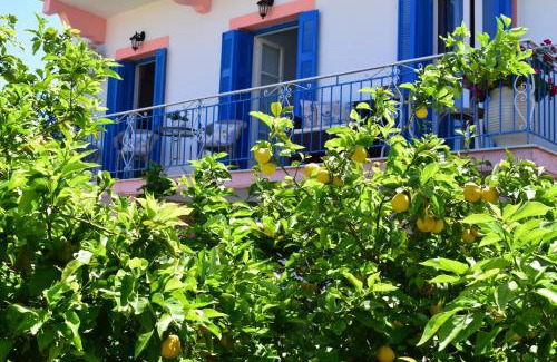 Fiskardo Apartment | Reginas Studios & Apartments- Fiscardo view apartment