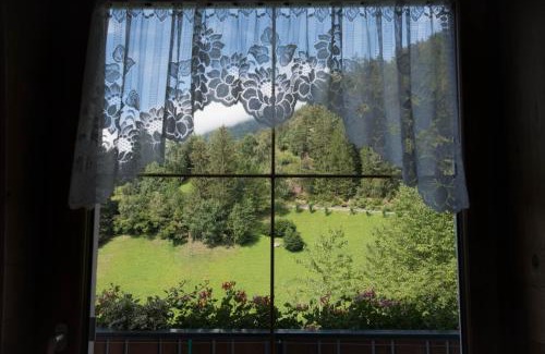 Valle Aurina House | Reicheggerhof