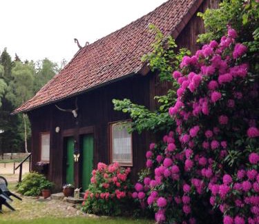 Wietzendorf House | Reiterhof Winandy