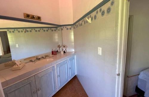 Cuernavaca House | Relax and Enjoy Cuernavaca Pet Friendly