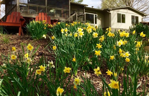 Lexington House | Relax at the River House