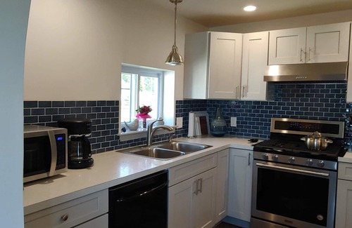 Niobe Apartment | Relax! CHQ Lake Heaven: Open Views, Dock&Big Yard