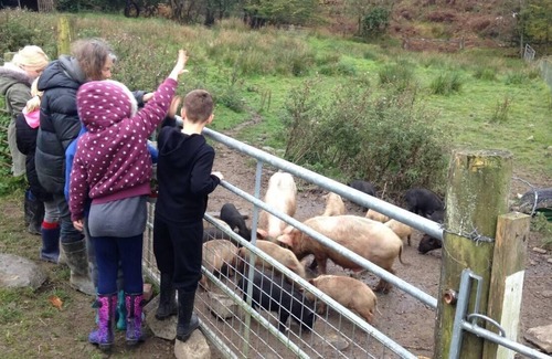 Llanybydder Cottage | Relax in Mountain View Cottage at Cwmiar Farm