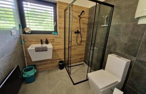 Cerna V Posumavi Apartment | Relax Vila Lipno- Studio u pláže Windy Point