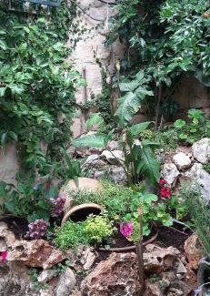 Safed Apartment | Relaxed garden apartment with Galilee sea view 1