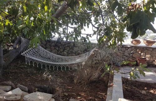 Safed Apartment | Relaxed garden apartment with Galilee sea view 1