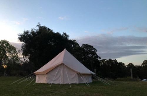 Tabulam Other | Relaxing bell tent in northern NSW