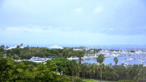 Coconut Grove Apartment | Relaxing Condo Hotel In The Grove, Free Parking